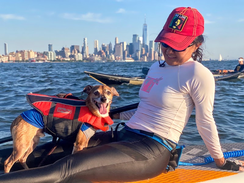 Woman and chihuahua on a stand up paddle board in the middle of the Hudson River in Manhattan