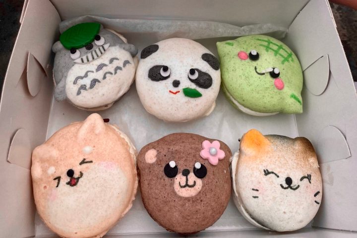 eight Japanese cookies with animal faces