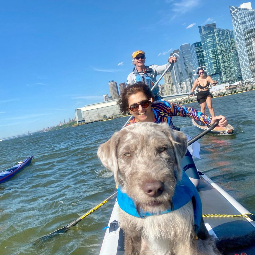 a person and a dog on a boat in the water