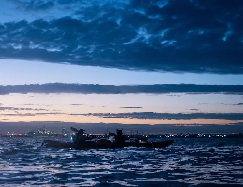 Silhouetted kayakers on calm water at dusk with city lights in the distance and cloudy sky.