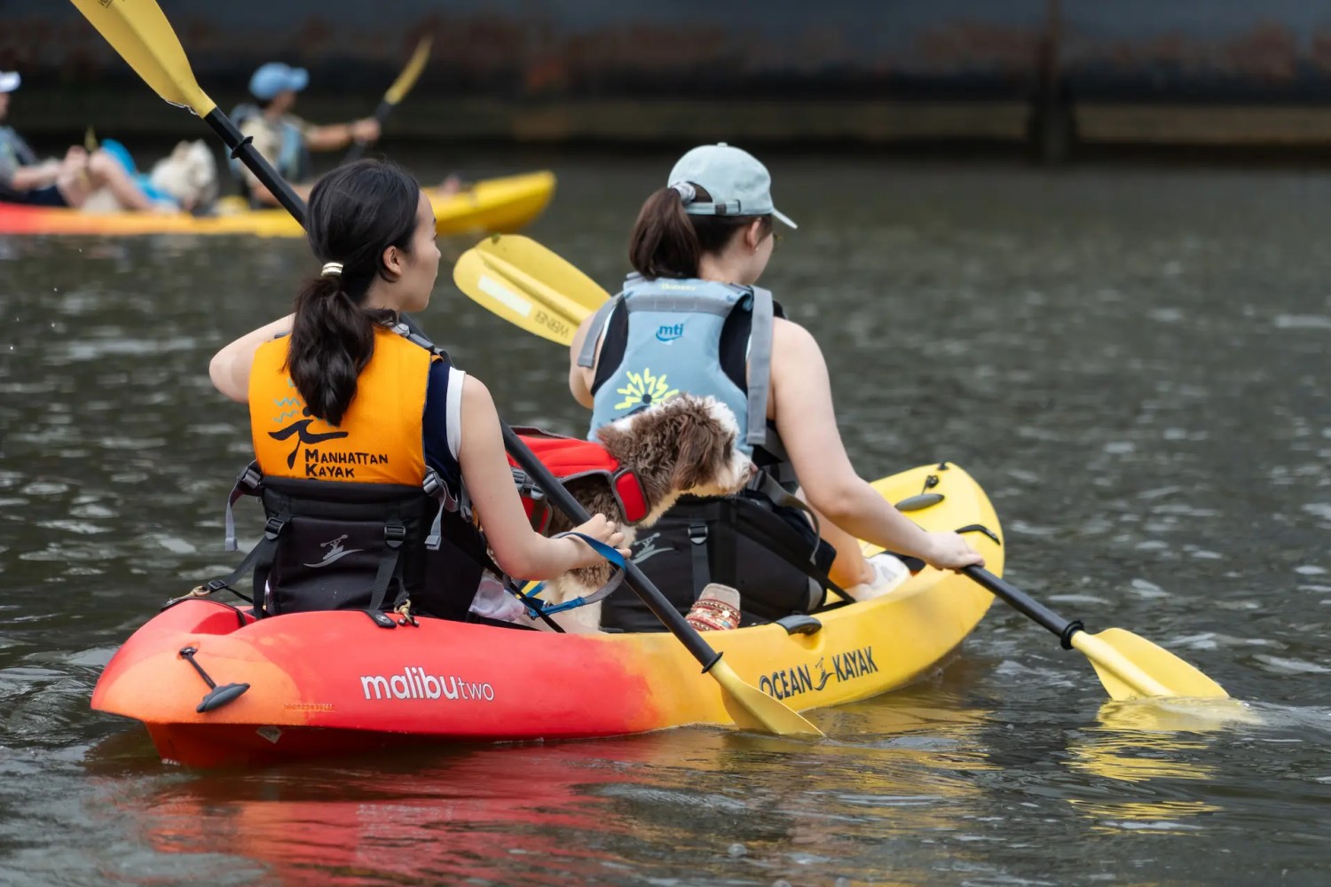 Two women with Manhattan Kayak Co lifejackets riding a tandem kayak with a dog standing calmly between them during the public rental program at Pier 84, where dogs join free.