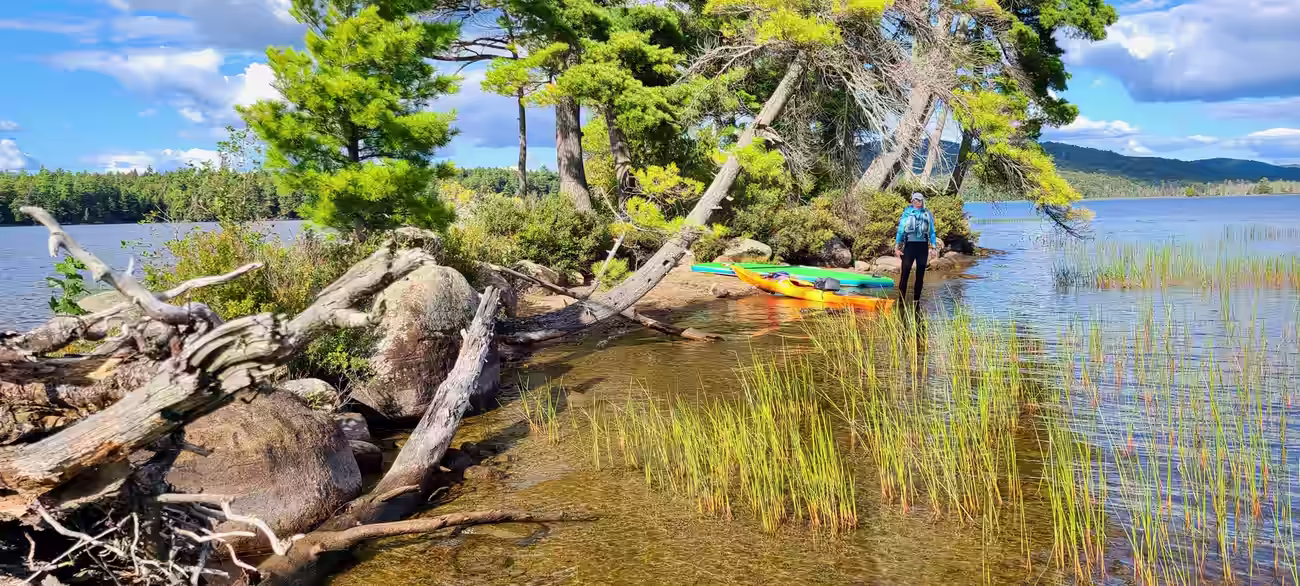 A man wearing a lifejacket standing near a kayak and a paddleboard pulled up on a shoal made of sand, sea grass, boulders, and pine trees, in the middle of a clear lake surrounded by blue skies.