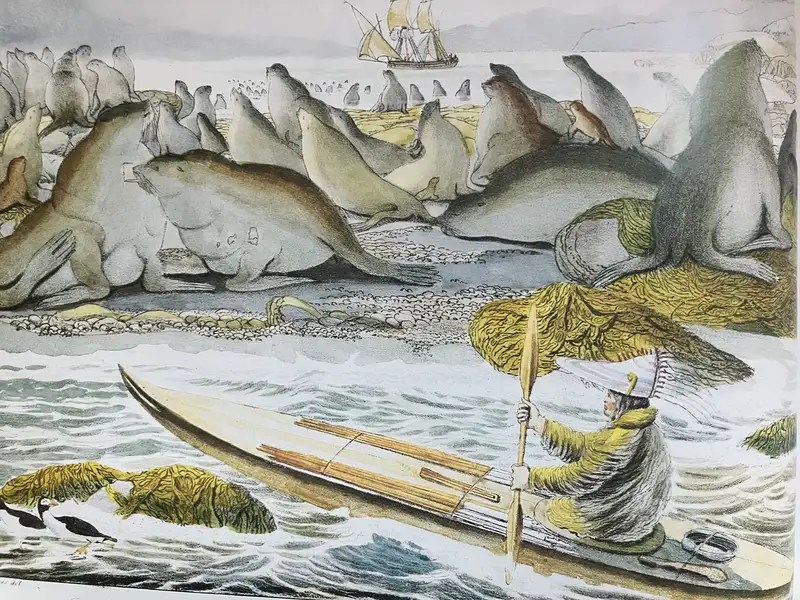 Person in kayak near large group of seals on a rocky shore, with a ship in the background.